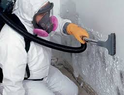 Best Mold Odor Removal Services in Brewster, OH